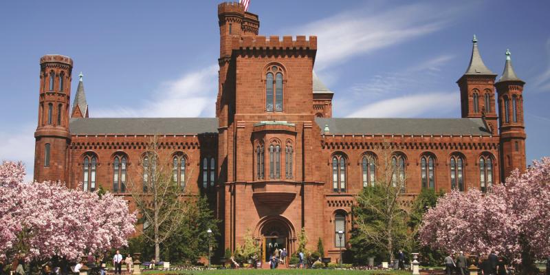 The Smithsonian Castle in Washington, DC. There are bright-pink flowers and greenery around the brown castle under a dusty-blue sky.